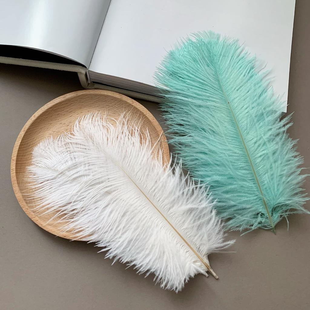 Color ostrich hair 15-20CM ostrich feather Internet celebrity photo background wall feather cake flower arrangement DIY decoration