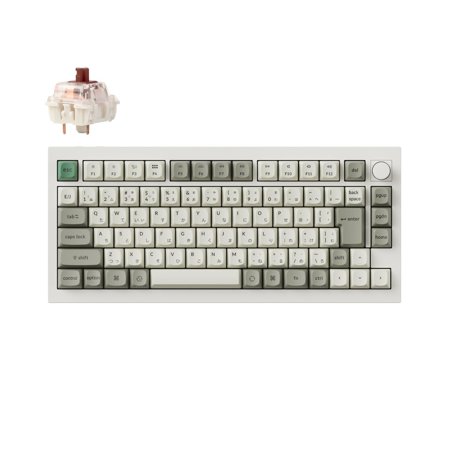 

Q1 Max wireless custom mechanical JIS RGB hot swap compatible Gateron Jupiter mechanical Windows Linux compatible Gateron Jupiter mechanical brown