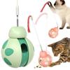 Pet Products Popular Tumbler Balance Car Beetle Cat Toy