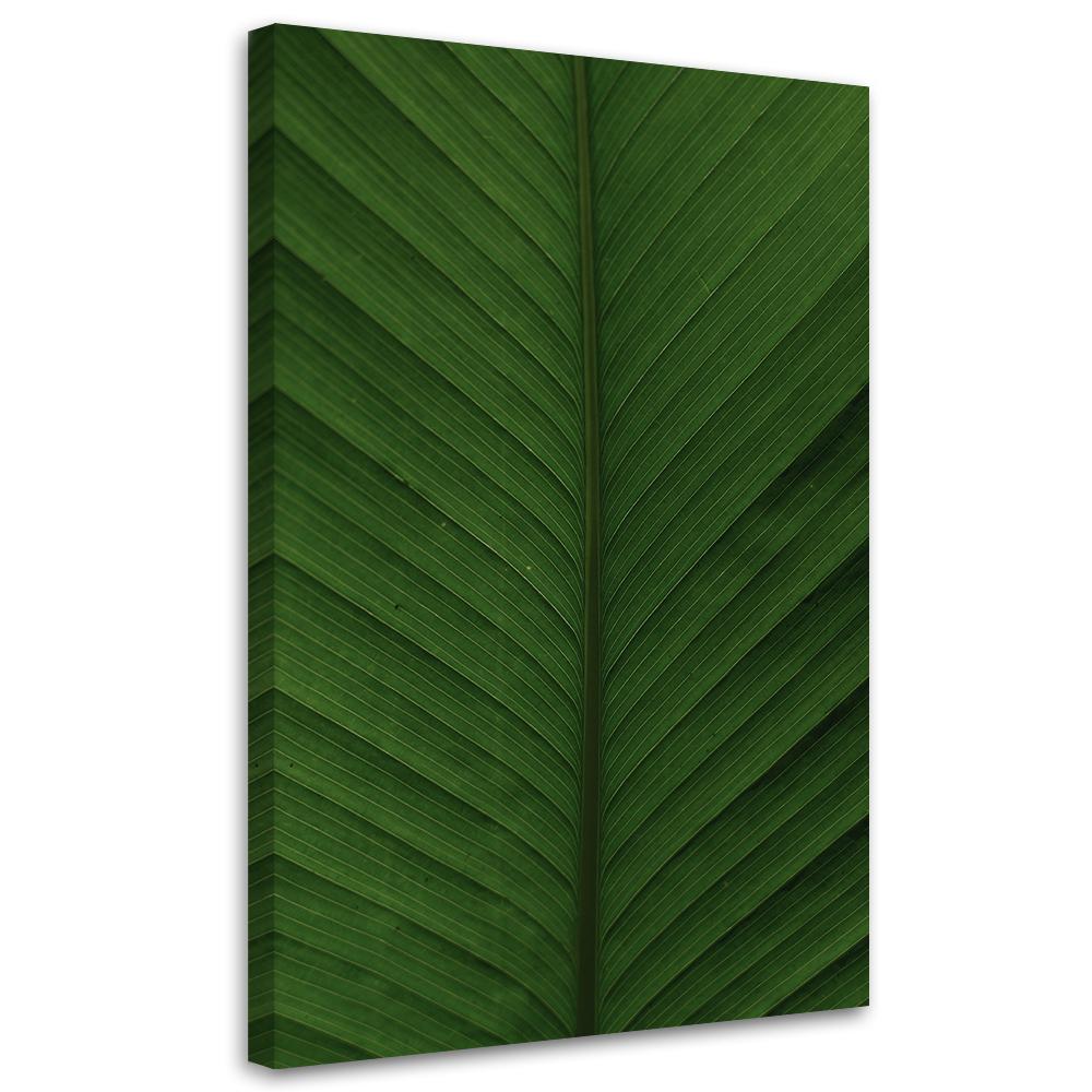Canvas Print, Banana Leaf Macro