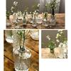 12Pcs Glass Bud Vases Small Vases for Centerpieces Mini Flower Vases Bulk for Rustics Wedding Home Table Decorations