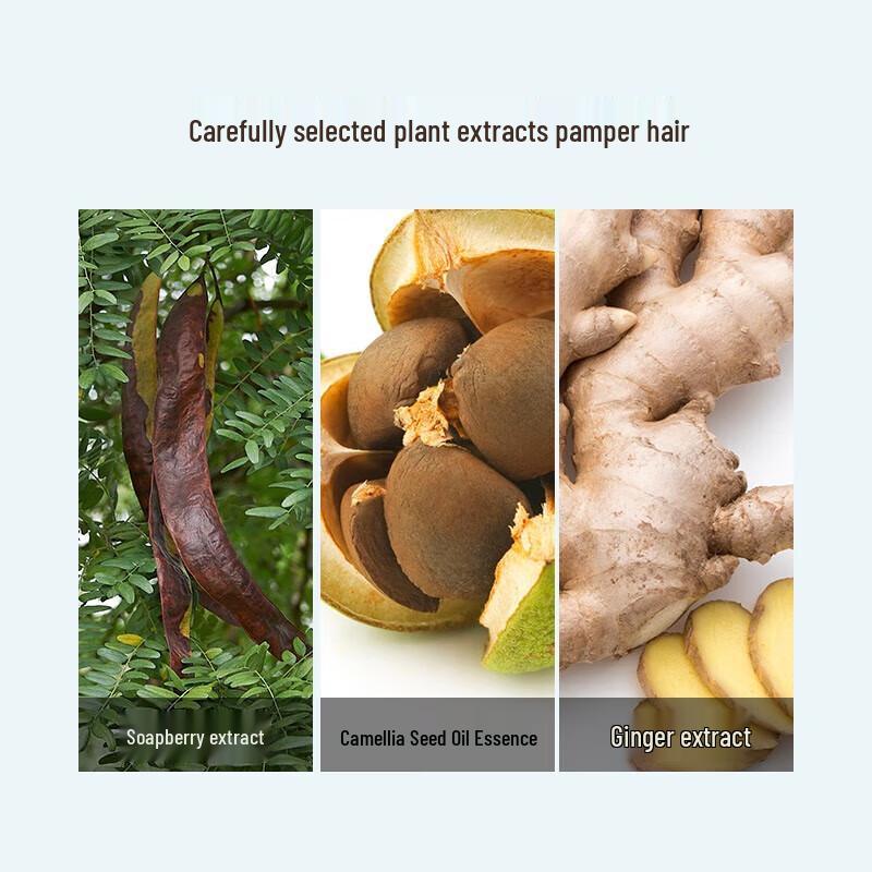 Fenghua Silicone-Free Anti-Dandruff Shampoo