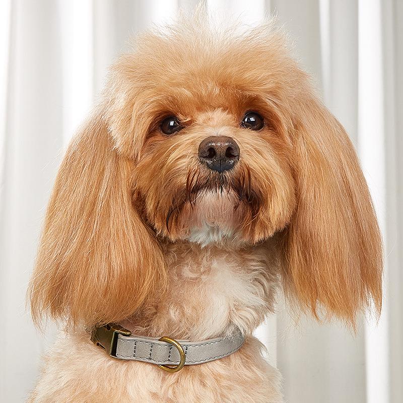Hundehalsband mattiert wasserdicht und bissfest Haustierhalsband für kleine und mittelgroße Hunde Katzenhalsband 1.5*20-32cm brown