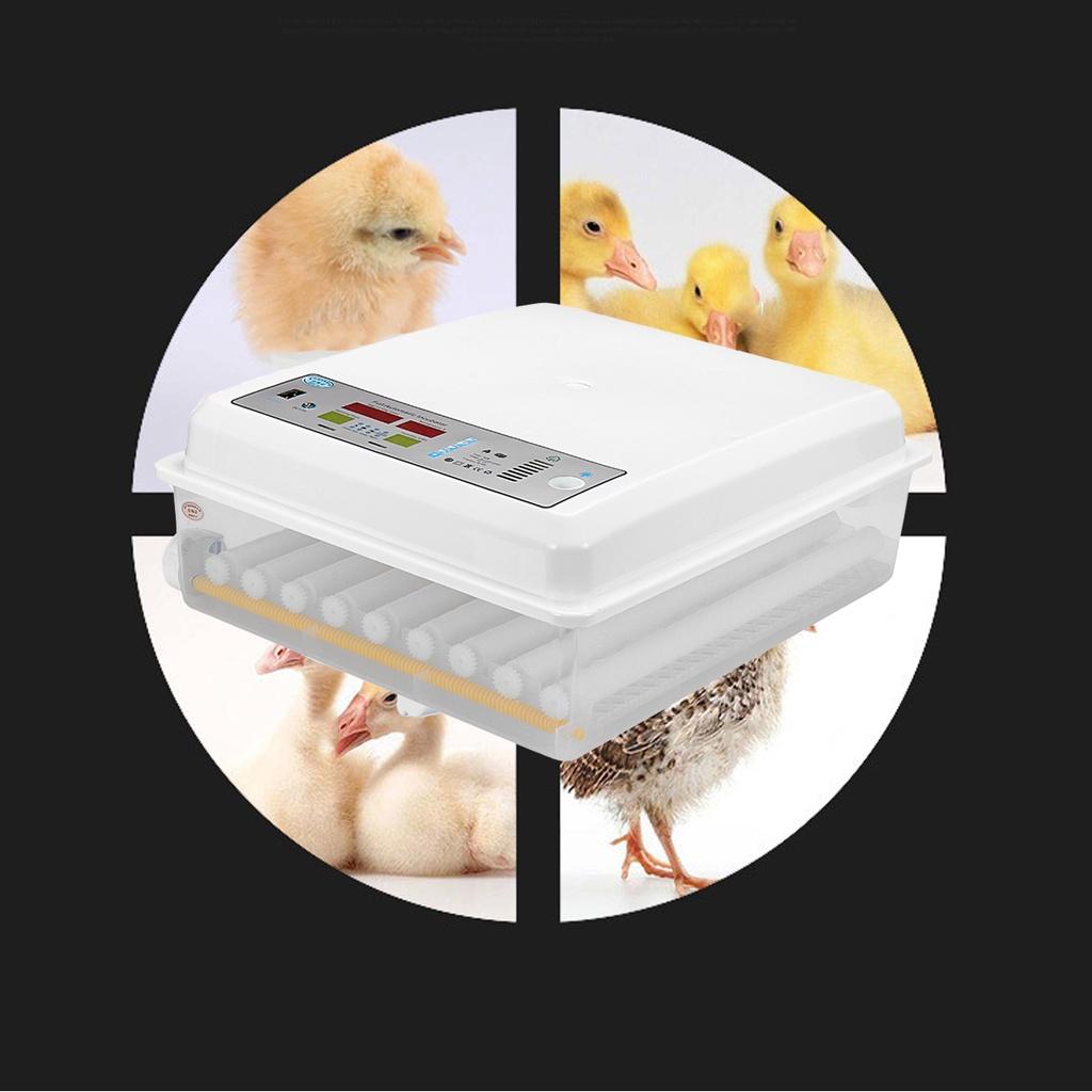 80W Automatic Farm Hatchery Incubator Brooder Machine 64 Eggs Turning Incubator Egg Hatchers For Chicken Poultry Bird Quail