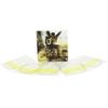Silver+Golden Banjo String Set Stainless Steel Material Stainless Steel Strings  For Banjo Playing