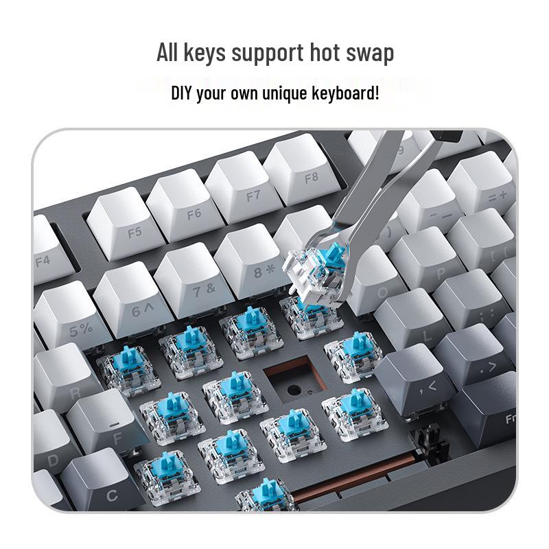 RuiYi F98 Wired 98-Key Mechanical Keyboard, Hot-Swappable, Side-Printed, Full-Key Anti-Ghosting, Office/Gaming.