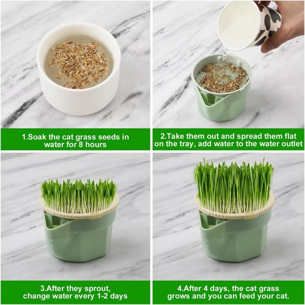 Гідропонний набір для вирощування мікрозелені Легкий у вирощуванні Безземельна висадна коробка Снек для котів