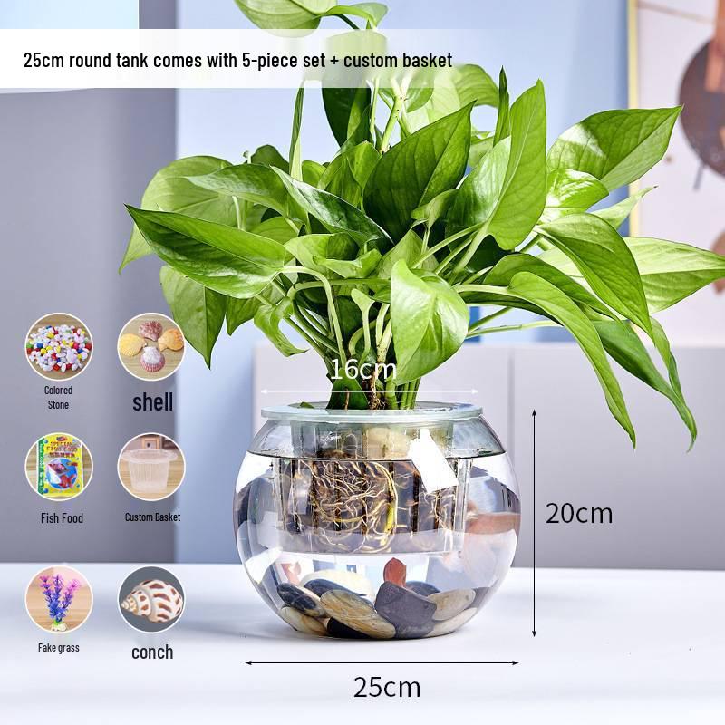 Jialei Dezhu Transparent Round Glass Fish Tank & Turtle Aquarium for Desktop Living Room