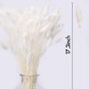 60 Stück getrocknete Lagurus-Hasenschwänze, Pampasgras-Dekoration, Heim- und Kuchendekor, Hasenschwänze, getrockneter Blumenstrauß für Boho-Tischdekoration