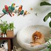 Bright-feathered Parrots and Hummingbirds In The Living Room Entrance Hall Home Decoration and Beautification Stickers