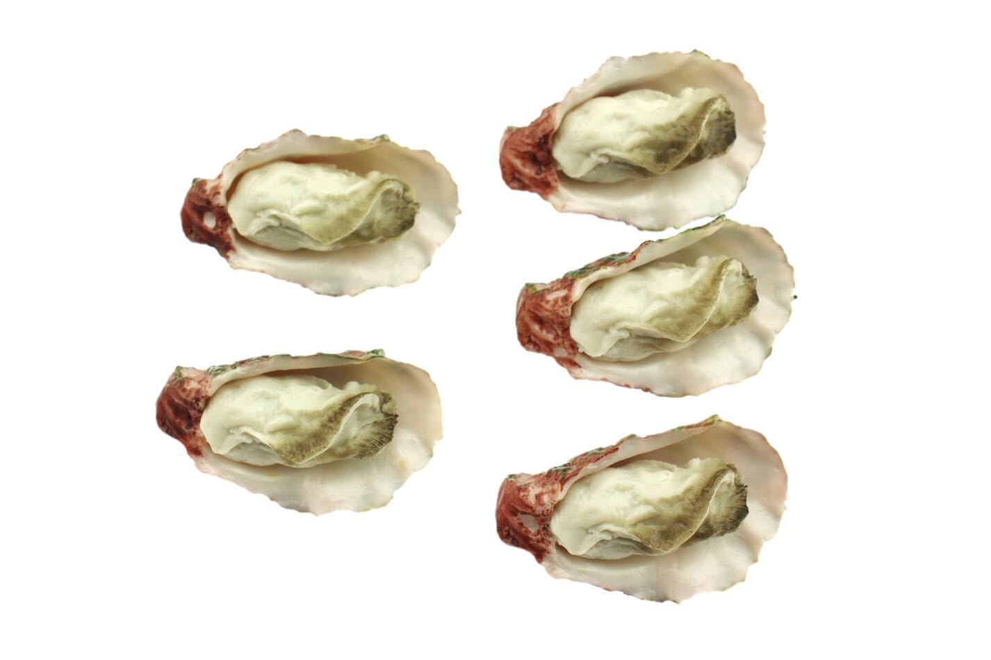 Speed Mao Realistic and Oyster Food Samples Set of 5 Delicious-Looking Models/Food -