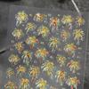 Dreamy 5D Embossed Firework Nail Stickers for New Year DIY Nail Art Ornaments, SL Model