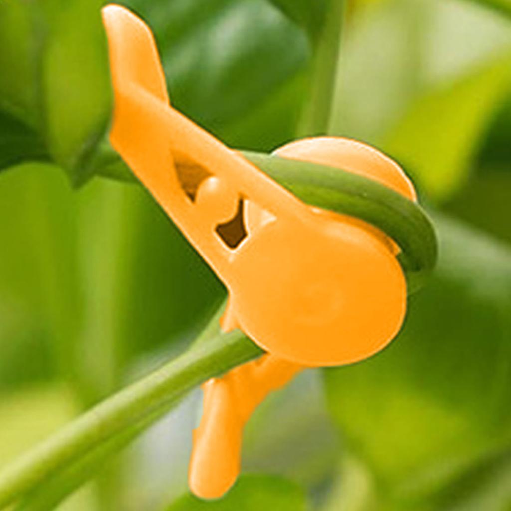 50pcs Low Stress Training Clips 360 Degree Reusable Plastic Plant Stem Bender Clips for Gardening