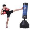 Huijun Standing Boxing Punching Bag