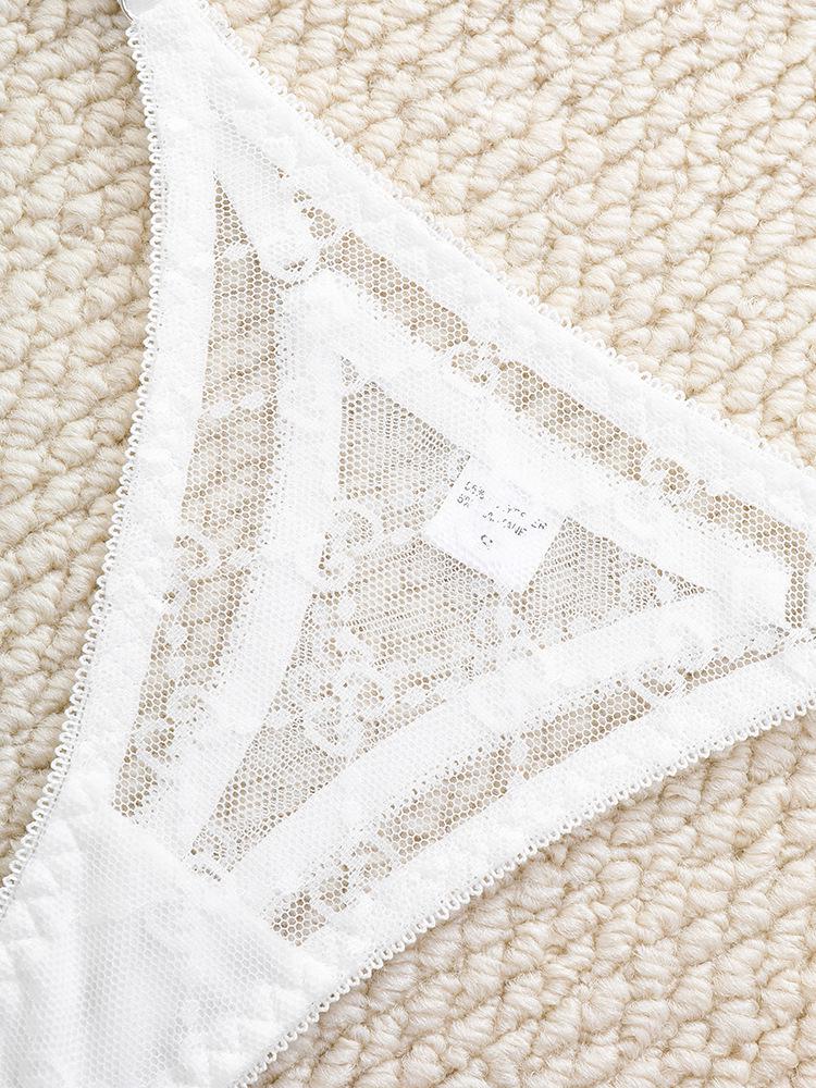 Sexy Lace Lingerie Set - Sheer Temptation Bra & Panty