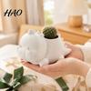 Cute Desktop Decoration 3D Printed Dinosaur Shaped Succulents Pot, Planter for Small Modern Desk Accessory Cactus Mini Plants, Decorative Flower