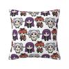 Sousou No Frieren Himmel Eisen Throw Pillow Cover Polyester Cushions for Sofa Novelty Cushion Covers