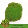 High Simulation Artificial Moss for Green Landscape Arrangement and Bonsai