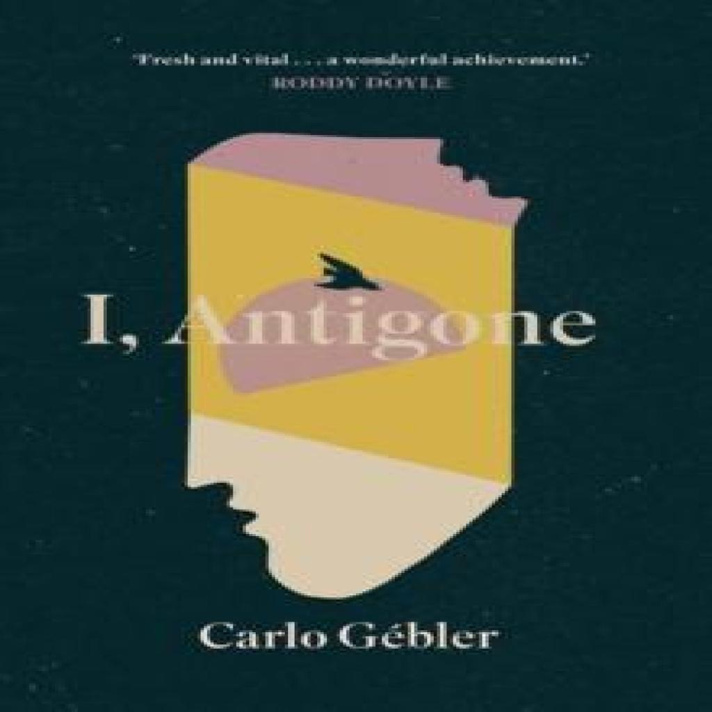 I Antigone by Carlo Gebler Hardback Book 9781848408142