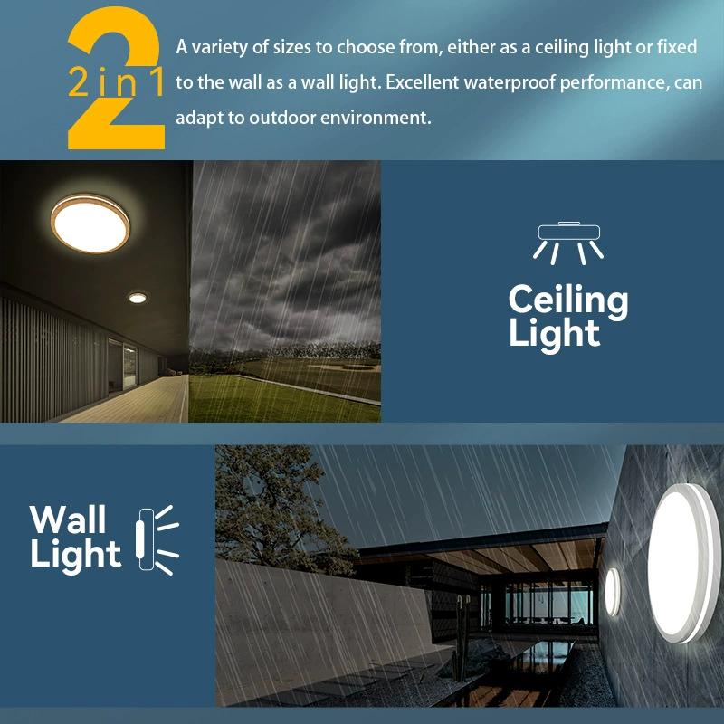 Adjustable 3 CCT 3000K Indoor Ceiling Light with Side Emitting LED Modern Design for Bedroom/Living Room Iron Base