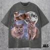 Three British Shorthair Graphic T-shirts, Vintage Cat Moon Tshirt, Cat Shirt, Funny British Shorthair Tee, Cat Meme Shirt, Cat Tshirt