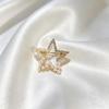 Five-Pointed Star Anti-Exposure Small Brooch, High-End Elegant Women's Dense Setting Pin, Collar Button Decoration Fixed Clothing Tool