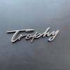 3D Metal Trophy Letters Logo Emblem Trunk Badge Auto Decals Rear Side Stickers For MG 6 Morris 3 ZS ZT GS TF GT ZR TF WW31