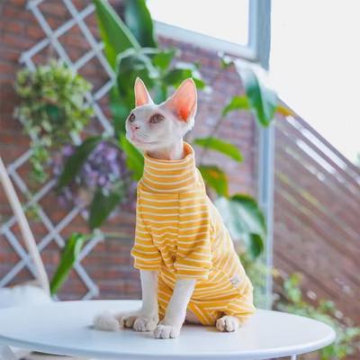 Kedi – Kediler için giyim