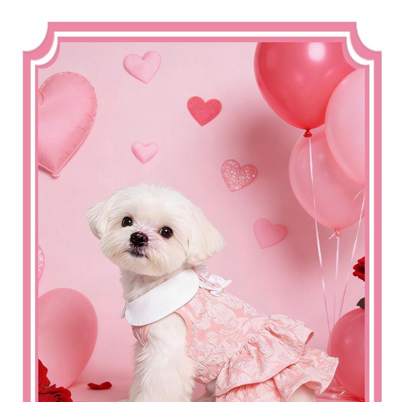 Pet Spring Summer Cake Dress Three-dimensional Flower Lace Teddy Bigbear Holiday Dress