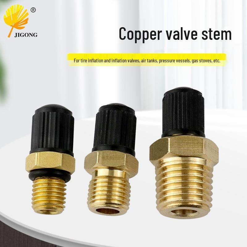 Multi-Size Copper Tire Valve Stems (1/8 NPT, 1/4 NPT, M8*1) for Cars, Motorcycles, and Bicycles.