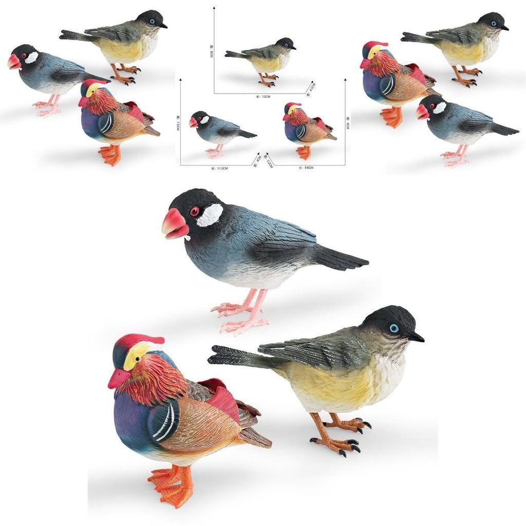 Animal Model Desktop Decor With Plastic Material For Educational Display And Bird Enthusiasts