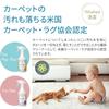 Deodorizing Family Bio Deodorizer Spray for The Power of Bio Eliminates Odors Without the Hidden Effective Against Dog and Cat Urine As Well As Odors