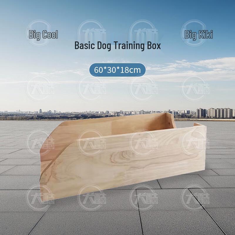 Dog Training Correction Box