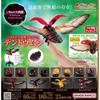 Bandai Original Gashapon Bio Daizukan 7-Star Ladybug Figure - Collectible Anime Insect Model, Mini Capsule Toy Gift for Kids