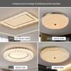 Oeny 3-Color Dimmable LED Ceiling Light