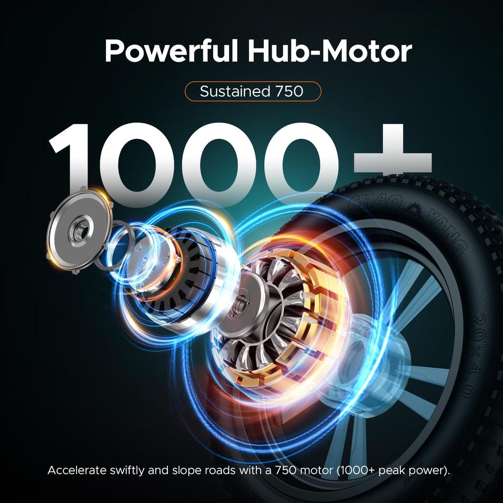 ENGWE M20 Adult Electric bike750W 48V13AH Removable Battery, Off-road Electric Bicycle, 20 "* 4.0" Wide Tyres, Up to 150KM Double Suspension