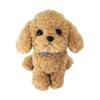 Bebek ve Peluş Oyuncaklar – Doldurulmuş ve Peluş oyuncak hayvanlar