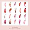 Feather Fantasy Retro Children’s Notebook Stickers - Cute PVC Set of 40