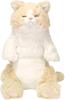 Sun Lemon Lap 20 X X Plush Cat, Cream, Sleeping, 13.3 40cm, Animal, P-6472