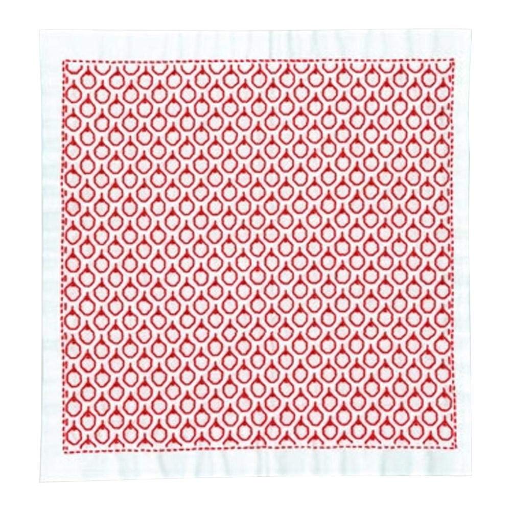 Olympus Sashiko Kit Flower Dishcloth Apple Design - - SK-357