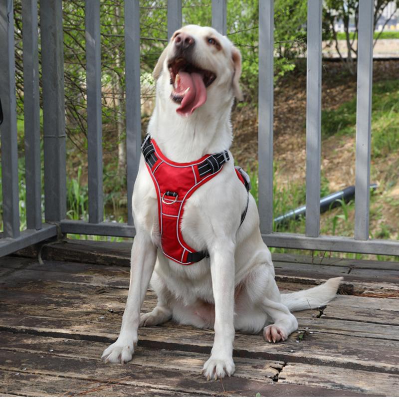 Reflective Dog Harness and Leash Set