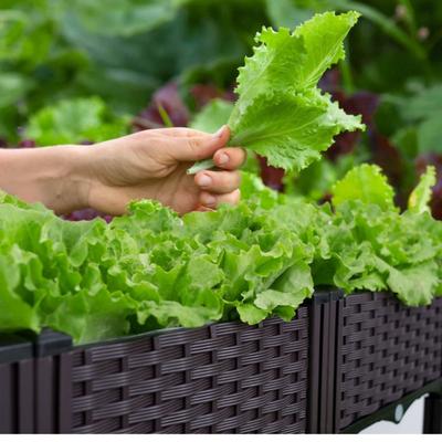 Garden And Balcony Large Veg Planting Box Assembled Reusable Square Flower Grow Pot Home Courtyard Planting Planters Equipment