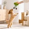 Interactive Puppy Chewing Toys Plush Cauliflower Dog Toy, Squeaky Chew Soft Durable Small Stuffed Toy for And Medium Dogs, Teething Indoor Outdoor Pet