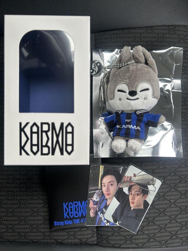 [USED] straykids SKZ KARMA SKZOO Wolfchan