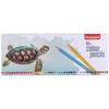 Box of 45 Bruynzeel Turtle Colored Pencils