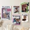Vintage Fashion Wall Art Poster Print Playdog Retro Canvas Painting Stylish Magazine Living Room Home Decor