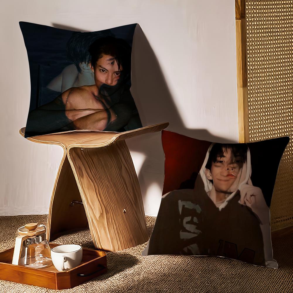 Dylan Wang Chinese Actor Cushion Cover Anti-Dustmite Pillowcase Invisible Zipper Silky Short Plush Sofa Cushion Cover