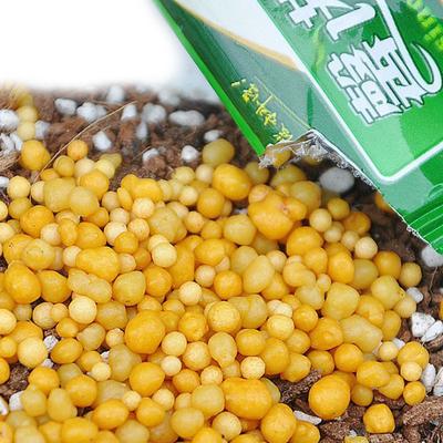 Universele Korrel Deeltje Plantenvoeding Slow Release Meststof Bloemplant Groente Succulent