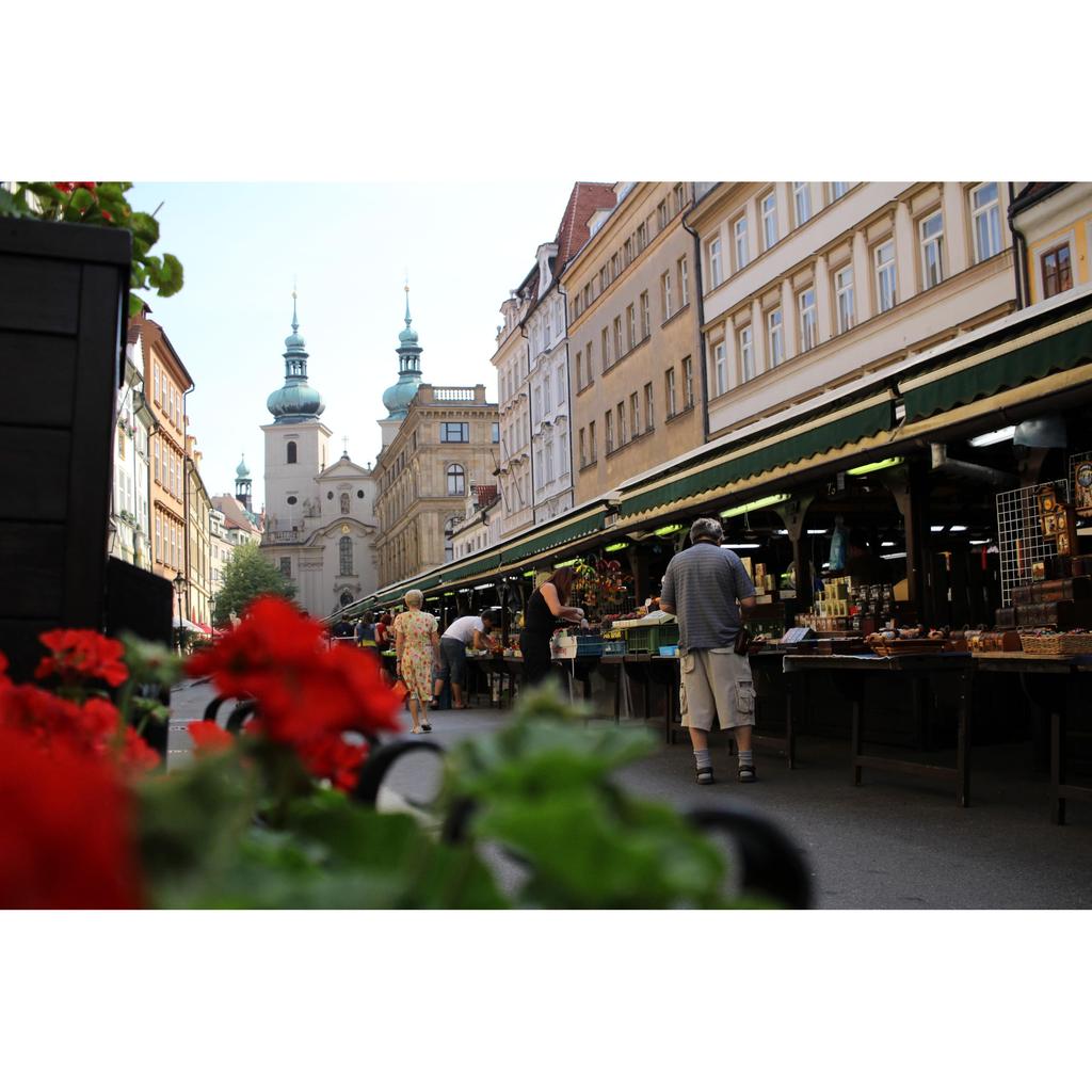 Canon EF-S24mm F2.8 STM Weitwinkel-Festbrennweite für APS-C-Kameras