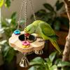 Pájaros – Alimentación y suministros de riego